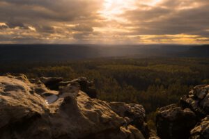 Sonnenuntergang über dem Wald - Landschaft