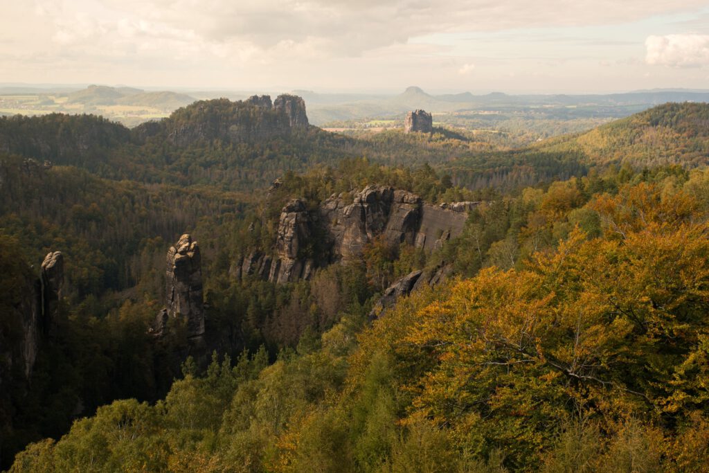 Blick vom Carolafelsen- Landschaft