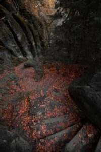 Treppe mit Herbstlauf - Landschaft