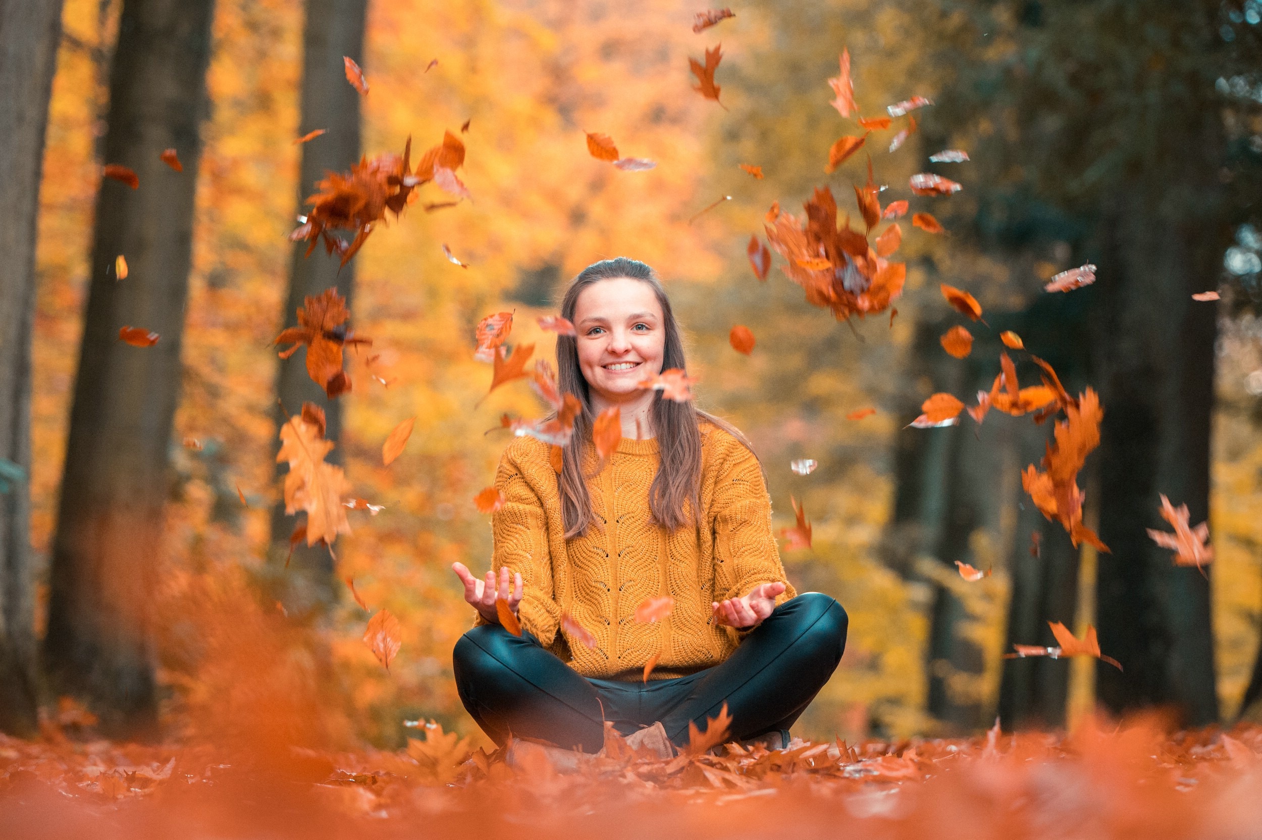 Herbstportrait, goldene Farbstimmung